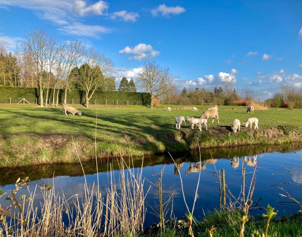 Lodges Near The Rhine - Sustainable Residence Hazerswoude-Rijndijk Exterior foto